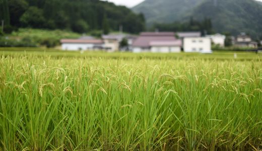 実際に移住して思う田舎と東京の違い５選