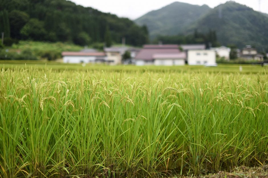 実際に移住して思う田舎と東京の違い５選 うまとも Blog