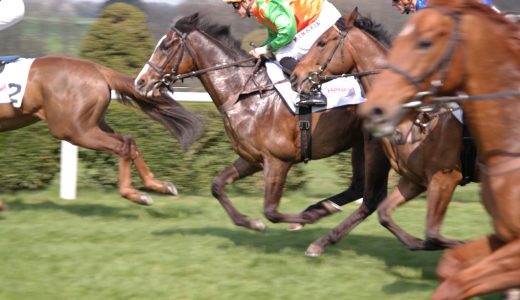 元スポーツ選手からみる募集馬について